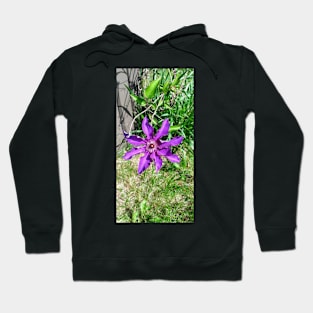 Sun of the Field Hoodie